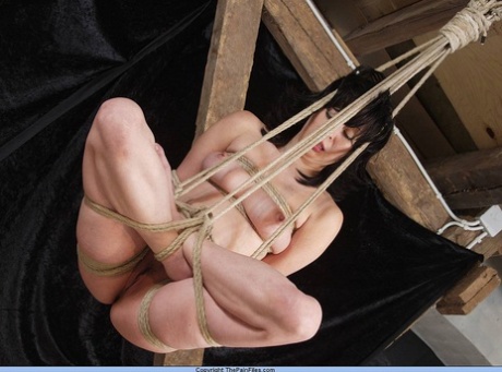 Dark haired beauty is tied up and suspended in the lotus position 84861298